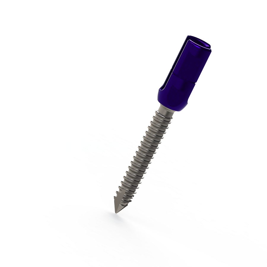 ADITUS SPINAL STABILIZATION SYSTEM