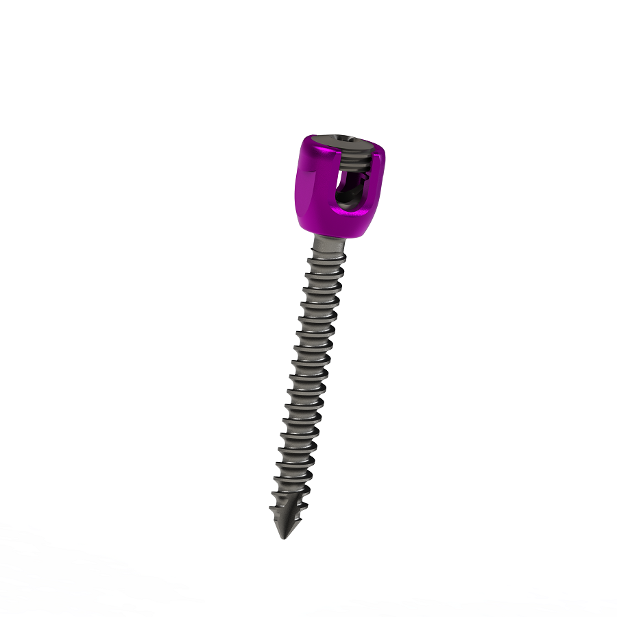 ADITUS SPINAL STABILIZATION SYSTEM