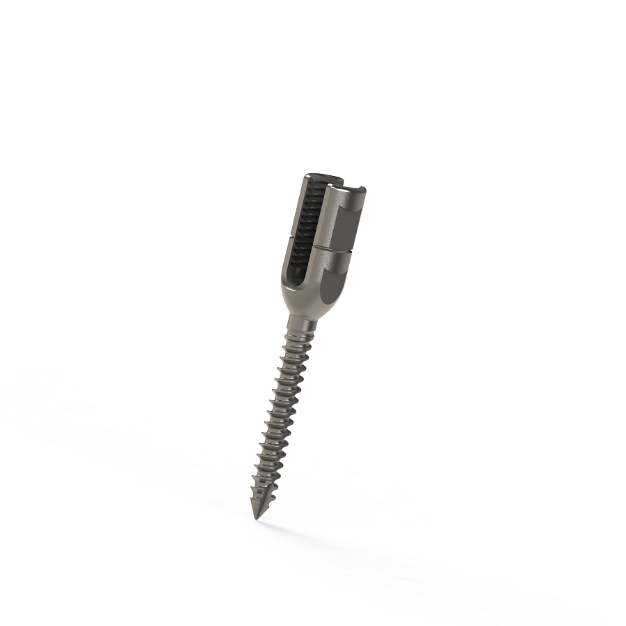 ADITUS SPINAL STABILIZATION SYSTEM