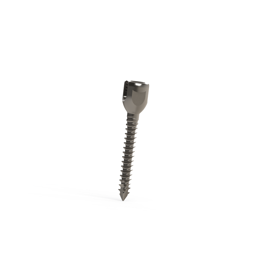 ADITUS SPINAL STABILIZATION SYSTEM