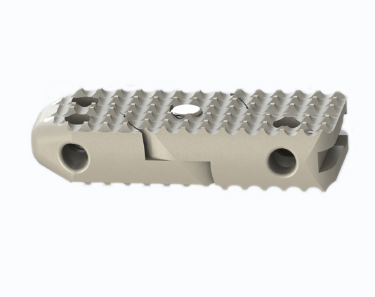 ADITUS LUMBAR XLIF CAGE