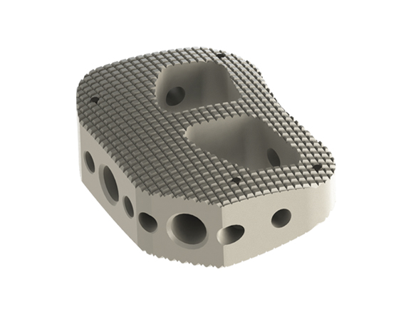 ADITUS LUMBAR ALIF CAGE