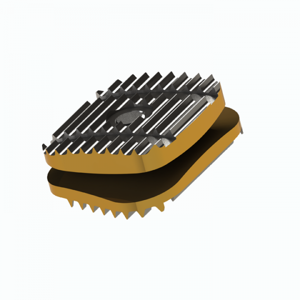 ADITUS CERVICAL DISC PROSTHESIS