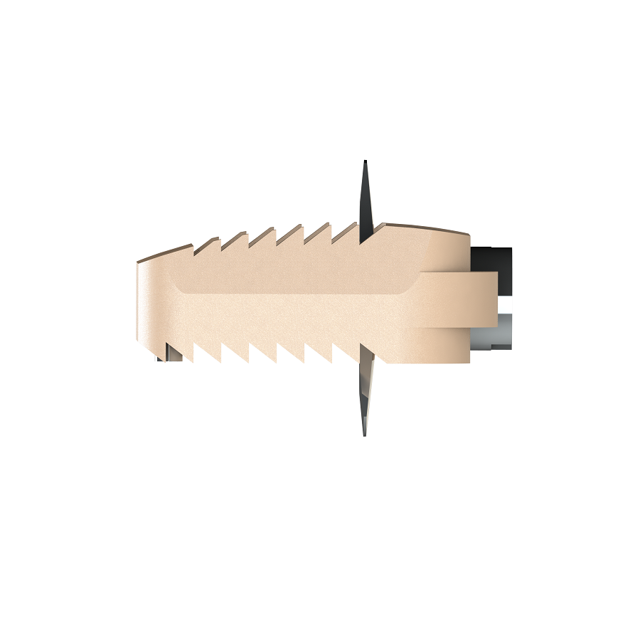 ADITUS CERVICAL CAGE