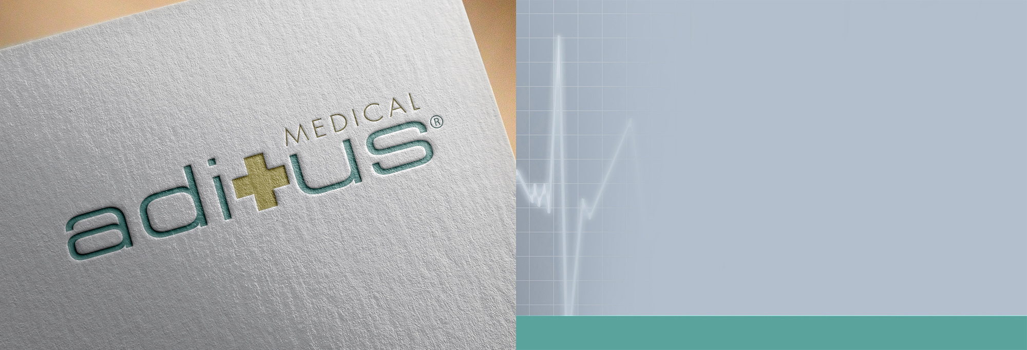 About Aditus