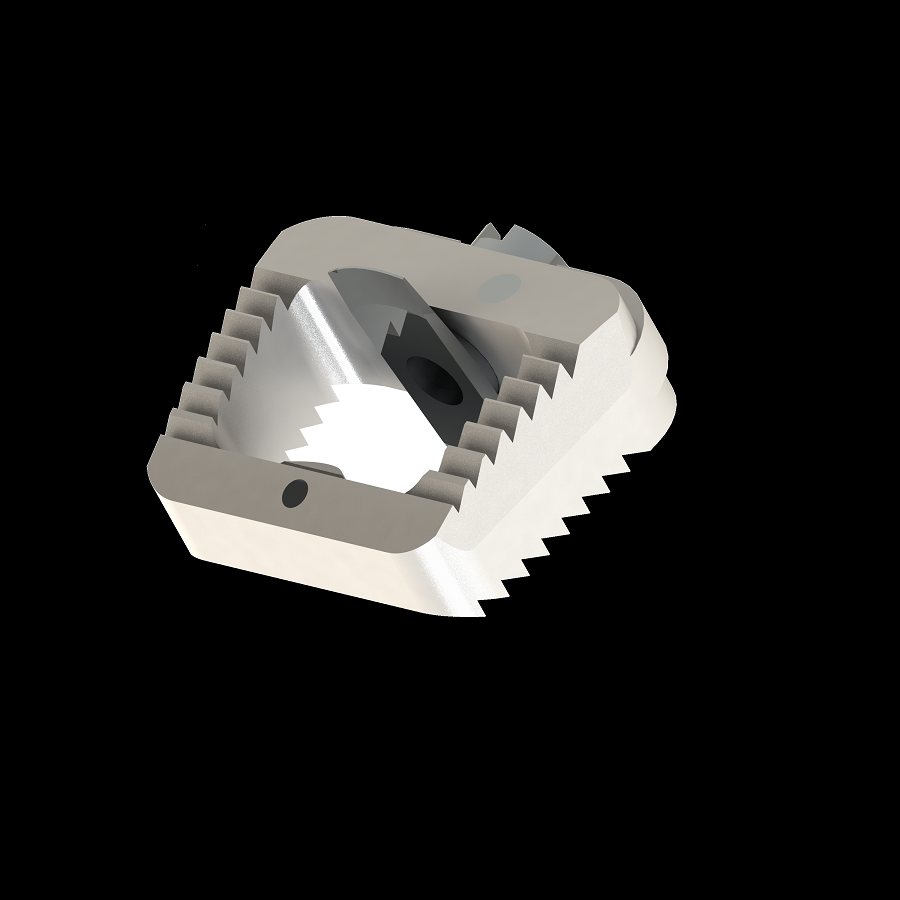 ADITUS CERVICAL CAGE